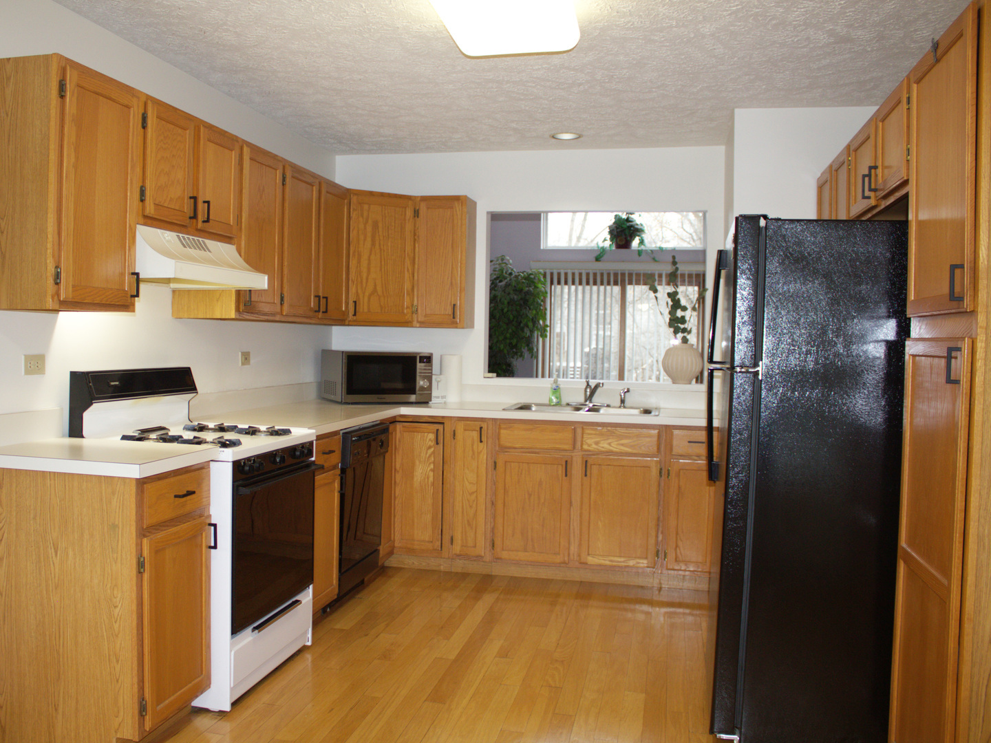 4208 Whitetail Court, Joliet, IL 60431