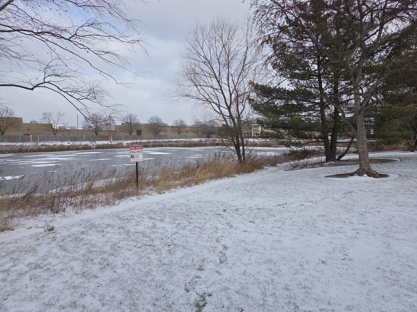 2466 Charleston Drive #1, Schaumburg, IL 60193