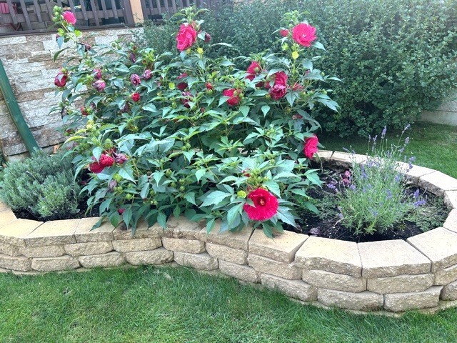 10915 Taft Street, Richmond, IL 60071