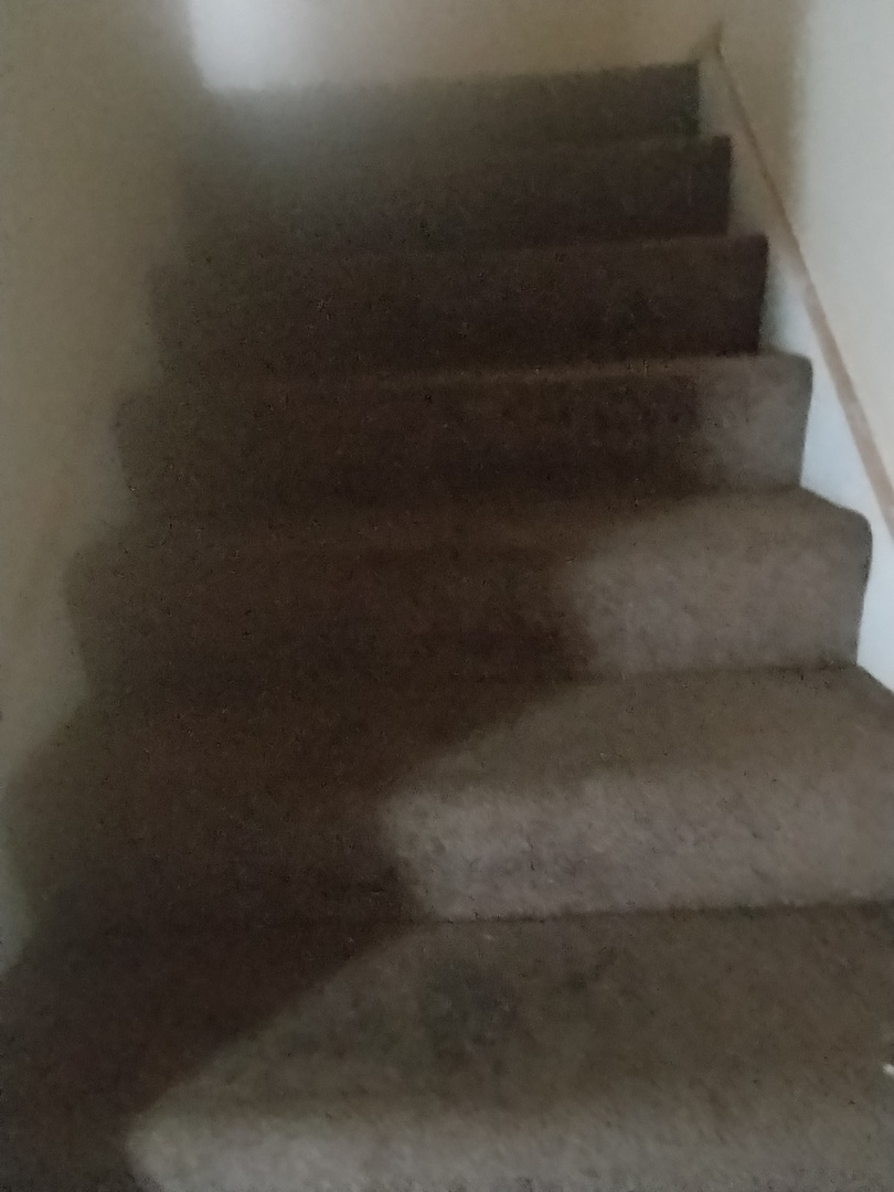 6955 S Normal Street #3RD, Chicago, IL 60621