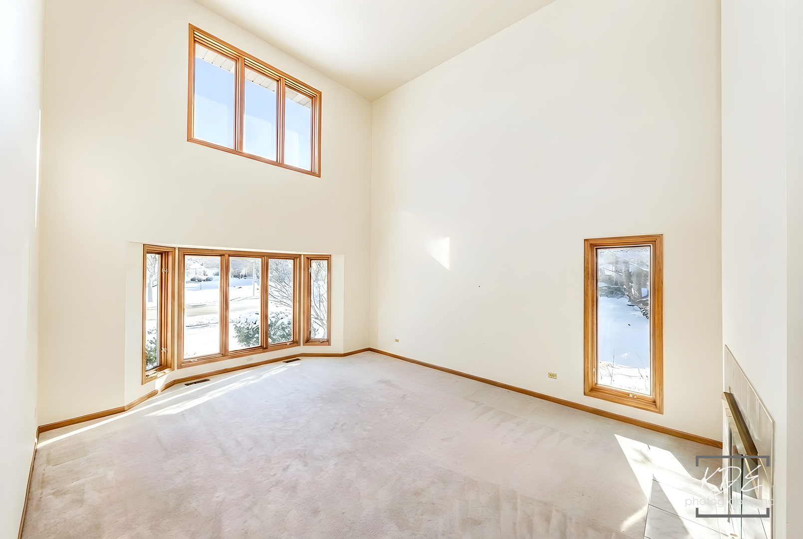 6576 Davane Lane, Downers Grove, IL 60516