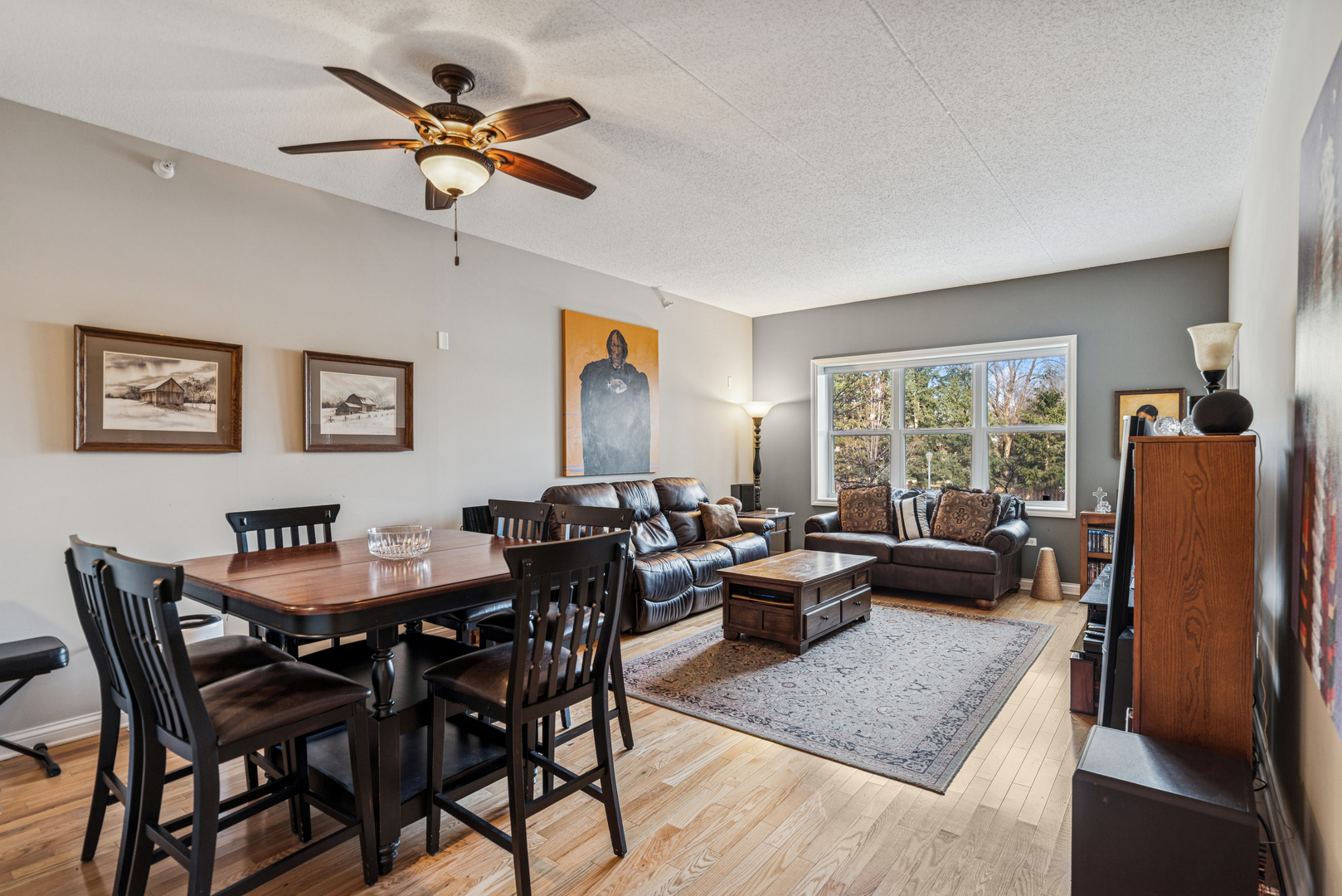 310 E Church Street #101, Libertyville, IL 60048