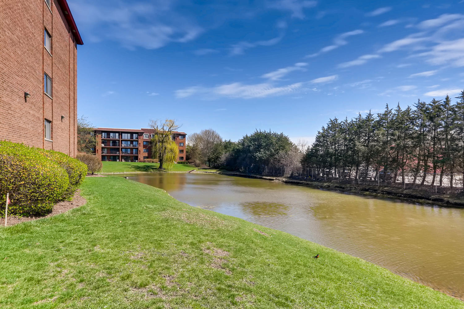 101 Old Oak Drive #305, Buffalo Grove, IL 60089