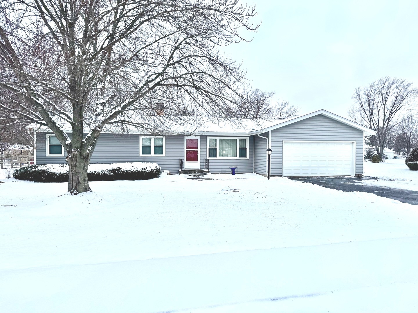 219 William Street, New Lenox, IL 60451