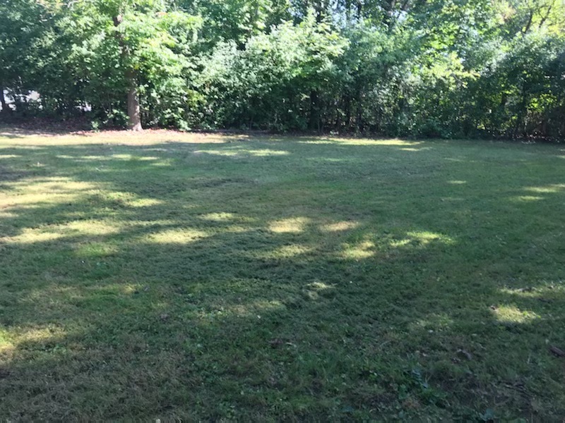 Palos Heights, IL 60463