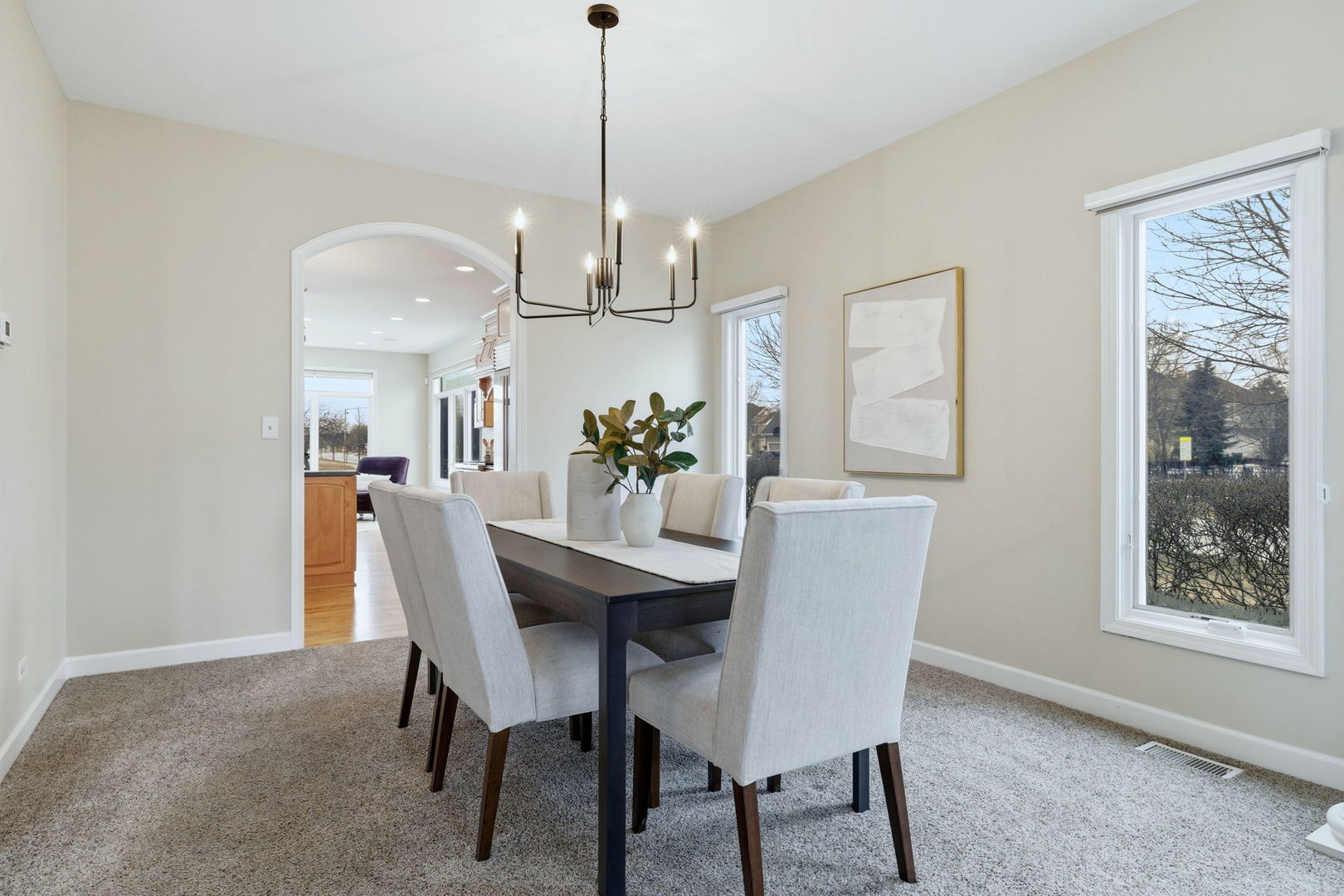 2503 Skylane Drive, Naperville, IL 60564