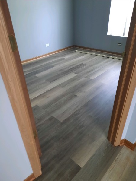 805 Serendipity Drive, Aurora, IL 60504