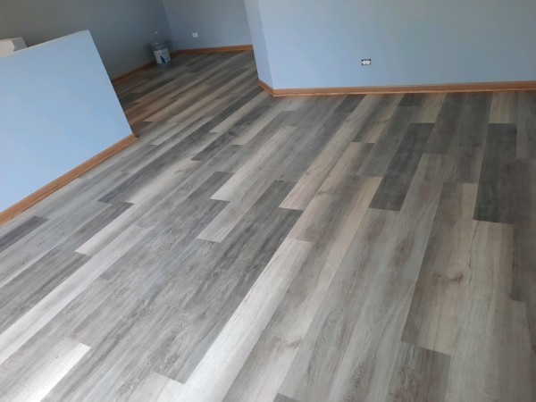 805 Serendipity Drive, Aurora, IL 60504