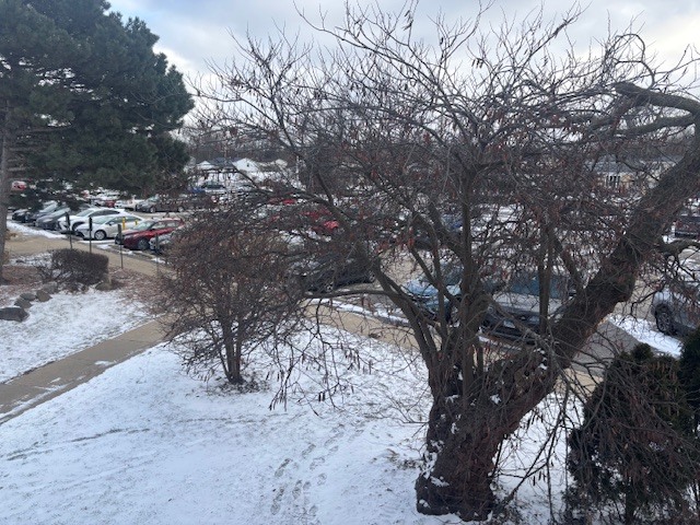 806 E Old Willow Road #211, Prospect Heights, IL 60070