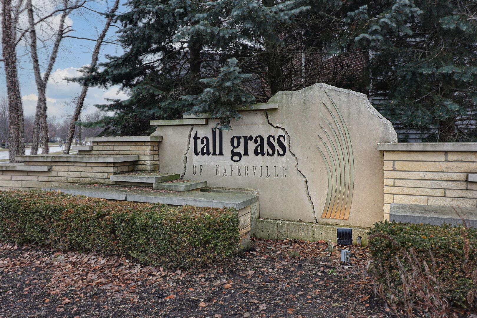 3807 Landsdown Avenue, Naperville, IL 60564