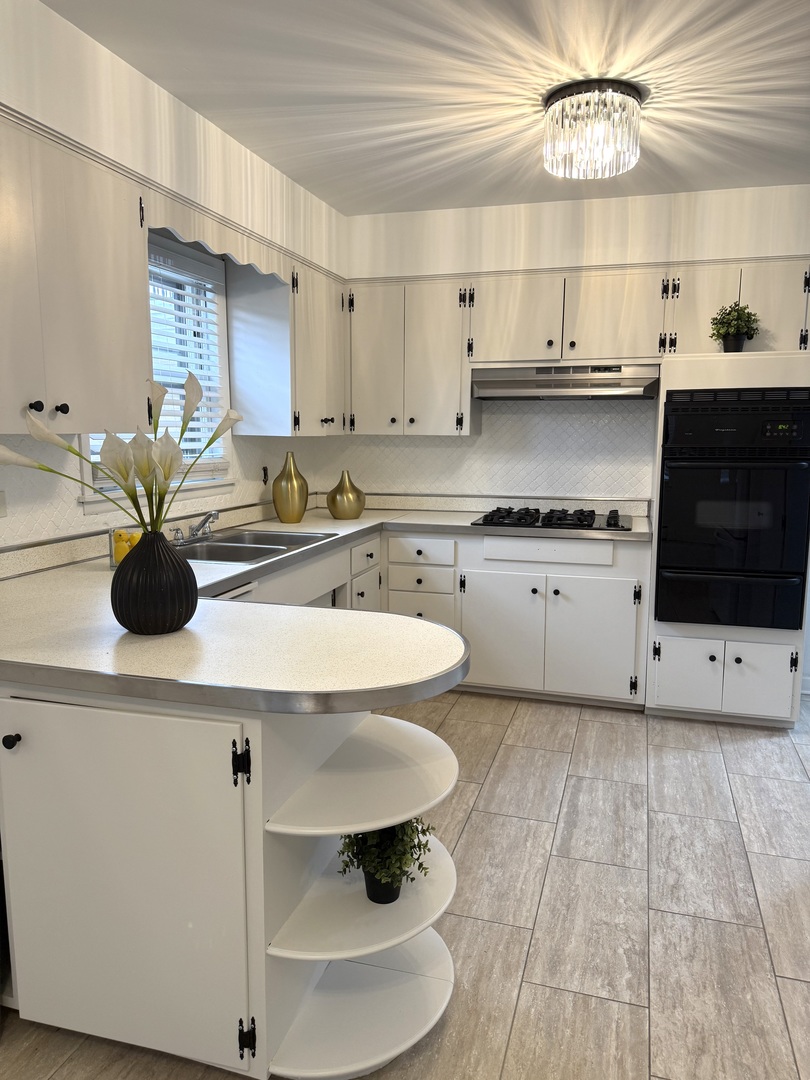 2308 Oakton Street #1, Park Ridge, IL 60068