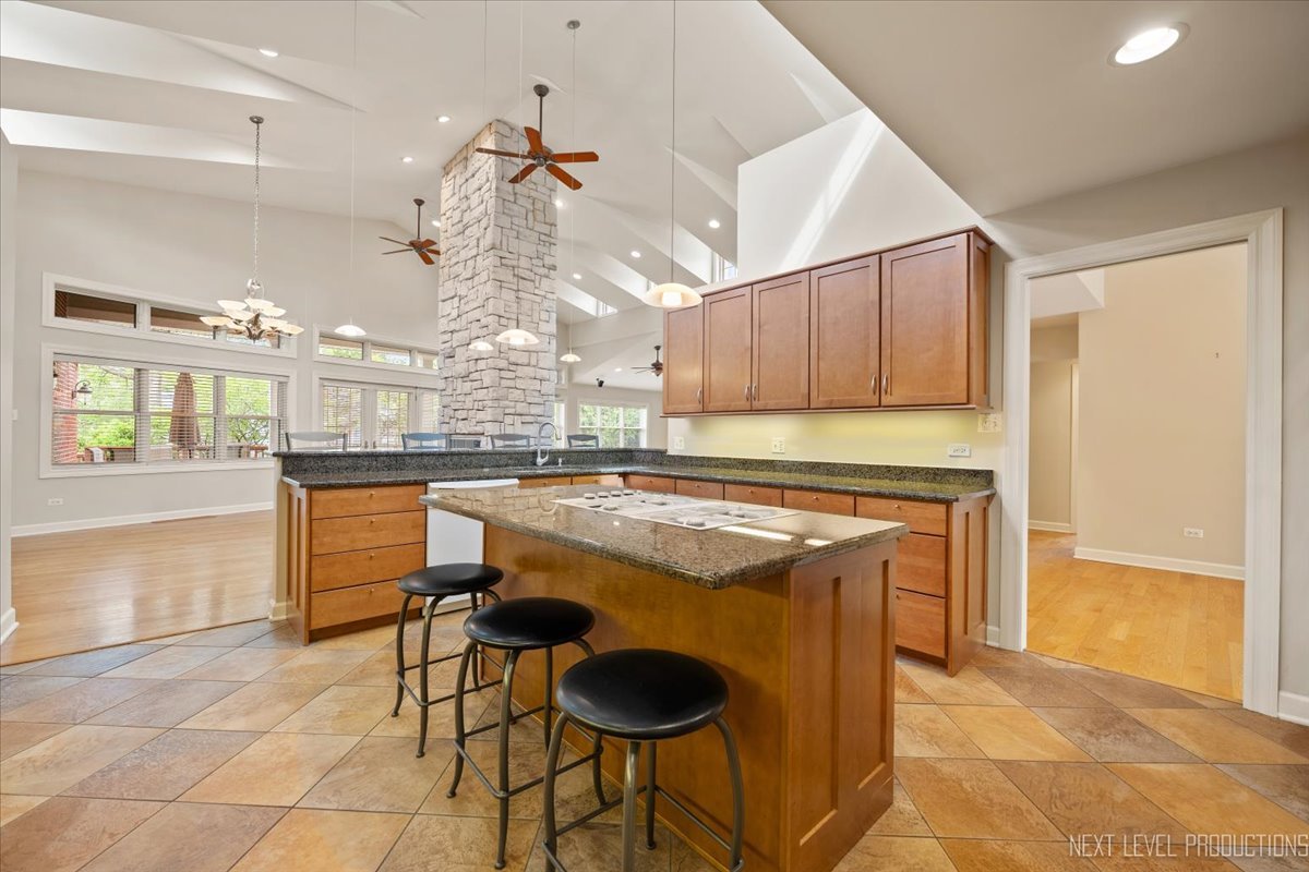 4830 Wolf Road, Western Springs, IL 60558