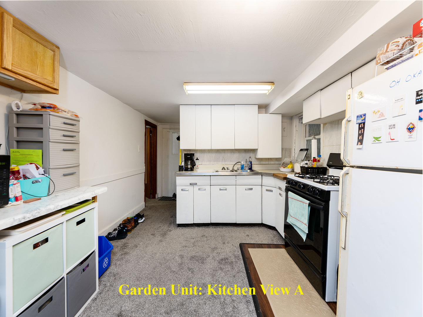 6064 N Paulina Street, Chicago, IL 60660