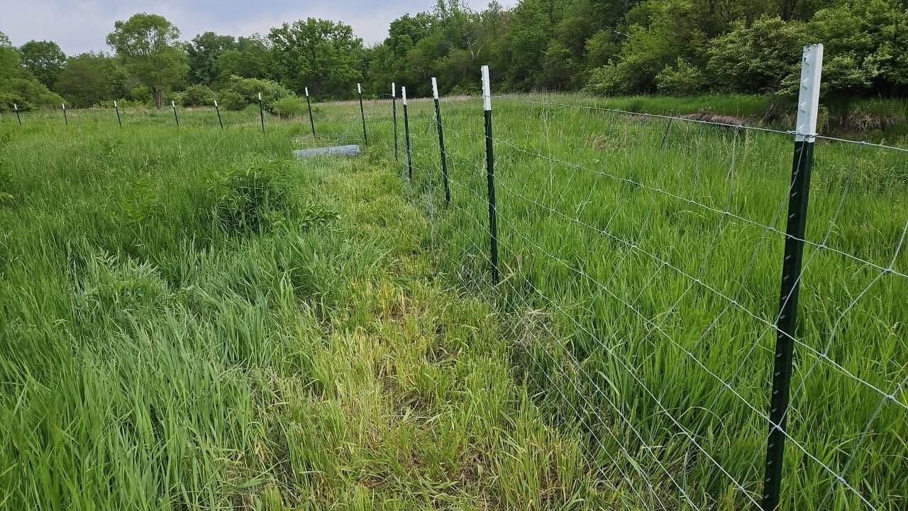 11071 Crimmin Road, Newark, IL 60541