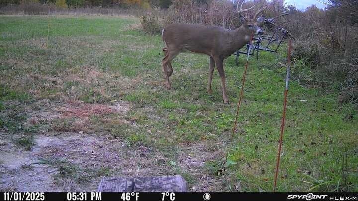 11071 Crimmin Road, Newark, IL 60541