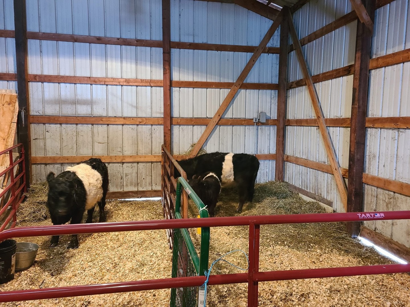 11071 Crimmin Road, Newark, IL 60541