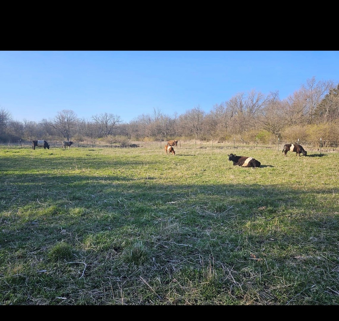 11071 Crimmin Road, Newark, IL 60541