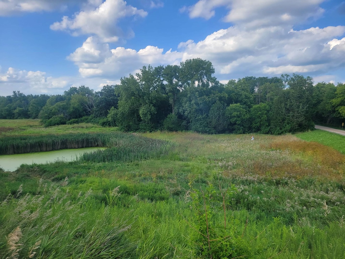 11071 Crimmin Road, Newark, IL 60541