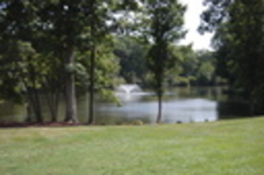 27106 S Fountainview Drive, Crete, IL 60417