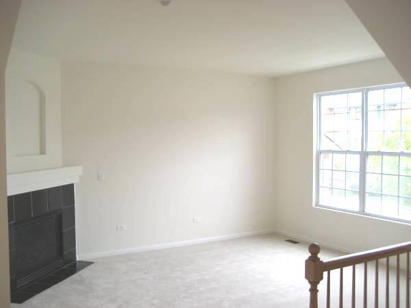 928 Charlton Lane, Naperville, IL 60563