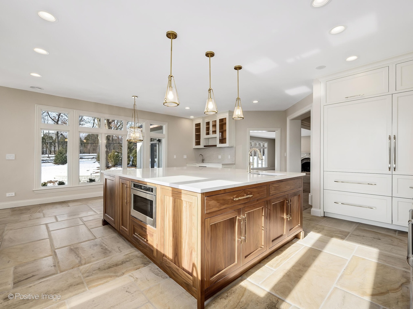 20 Natoma Drive, Oak Brook, IL 60523