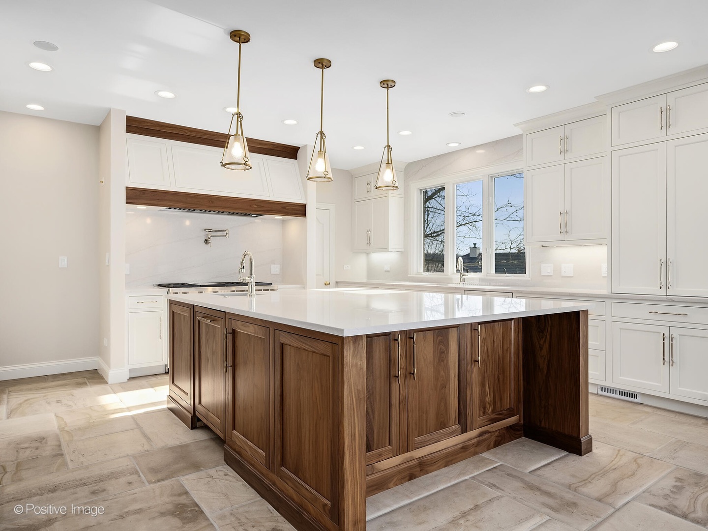 20 Natoma Drive, Oak Brook, IL 60523