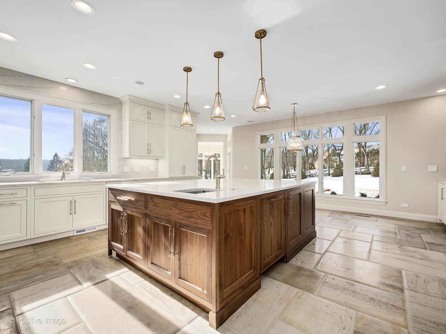 20 Natoma Drive, Oak Brook, IL 60523