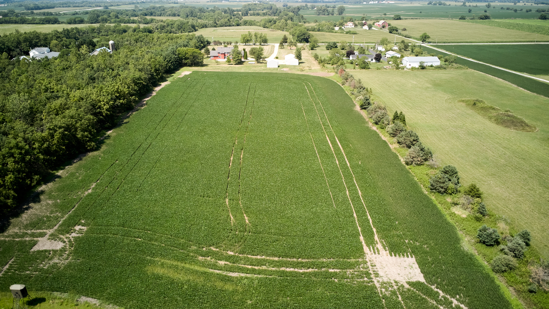 2803 W Offner Road, Monee, IL 60449