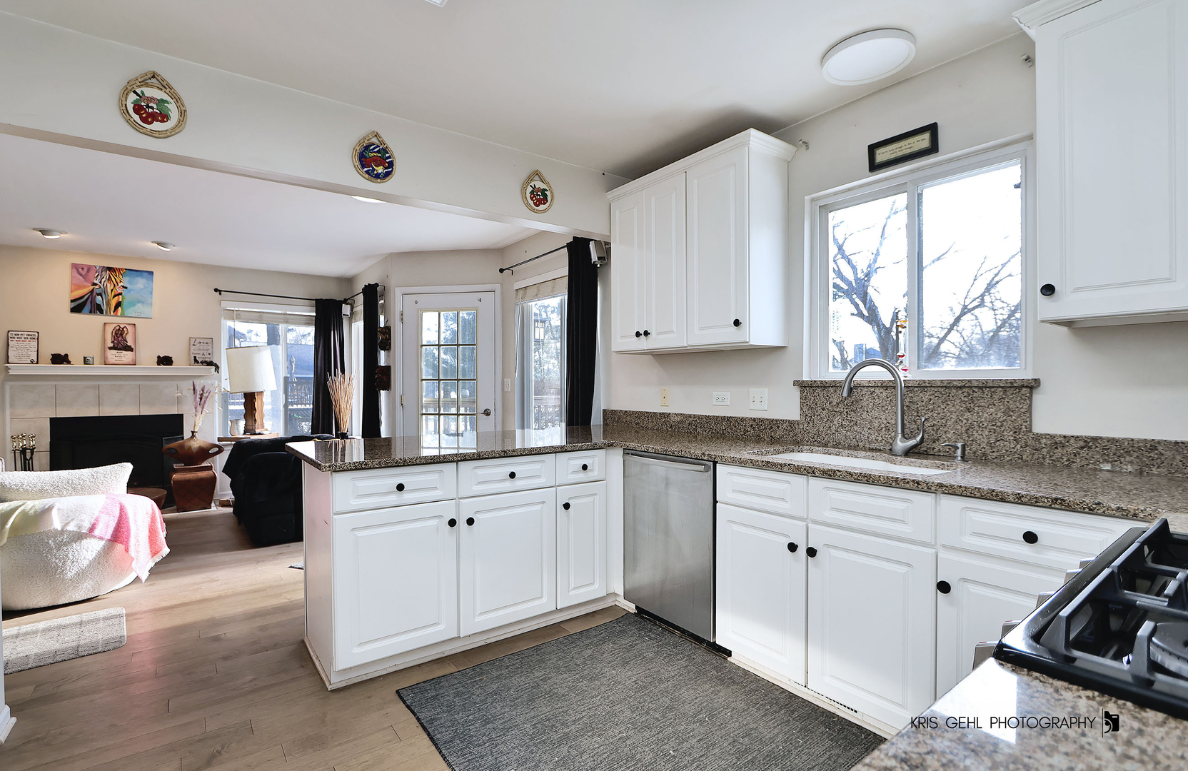 1185 Mallard Court, Fox Lake, IL 60020