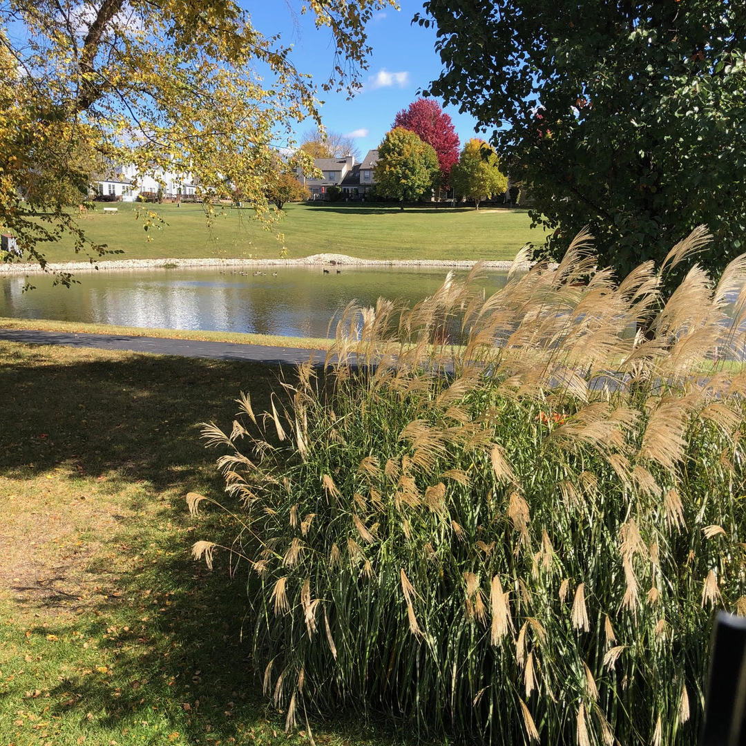 1712 Coach Drive, Naperville, IL 60565