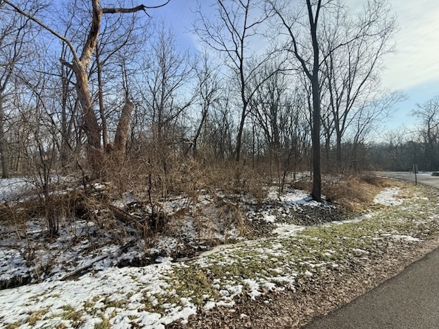 4802 Brorson Lane, Johnsburg, IL 60051