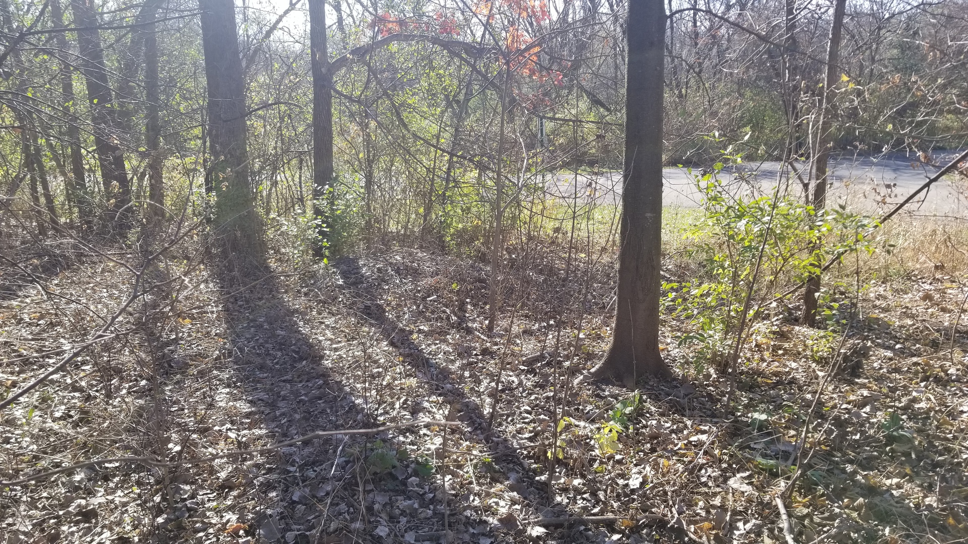 4802 Brorson Lane, Johnsburg, IL 60051