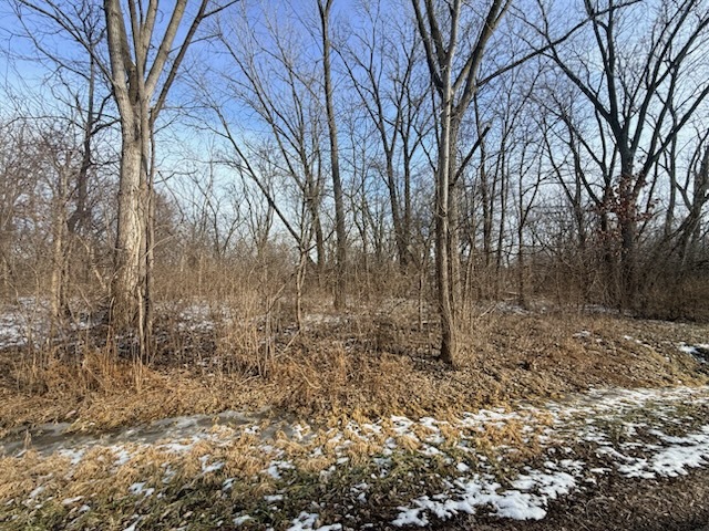 4802 Brorson Lane, Johnsburg, IL 60051