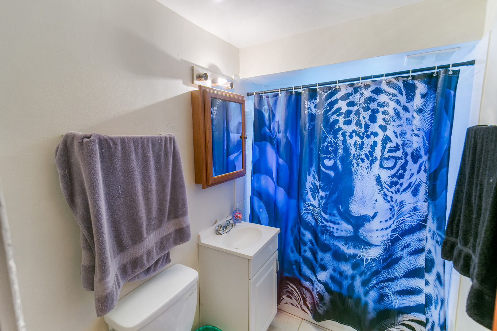 805 N 22nd Avenue, Melrose Park, IL 60160