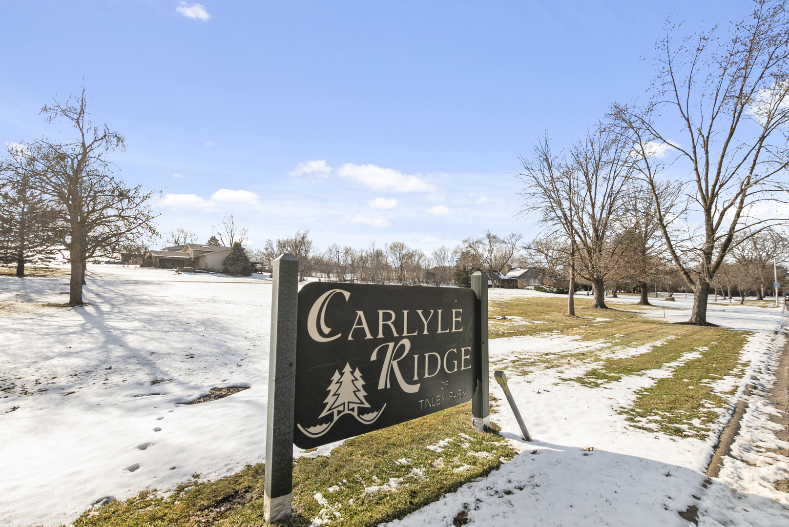 17330 Carlyle Court, Tinley Park, IL 60487