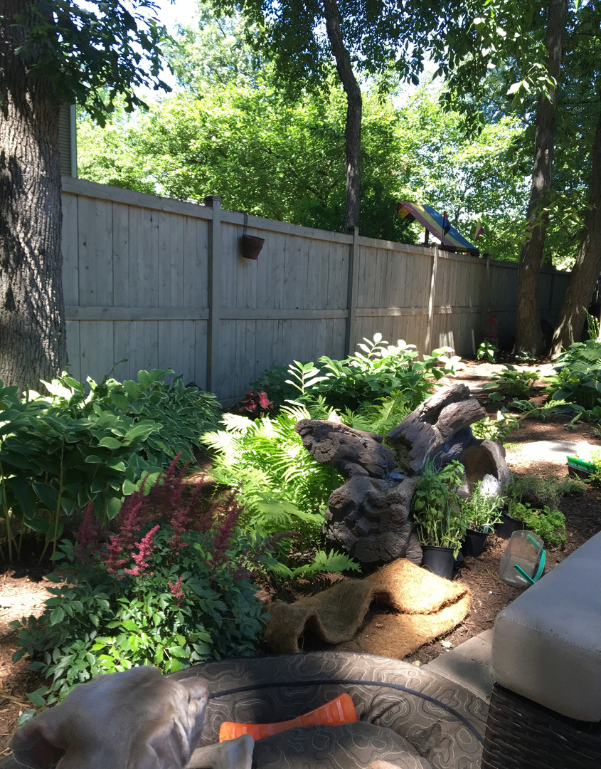 459 Rock Hall Circle, Grayslake, IL 60030