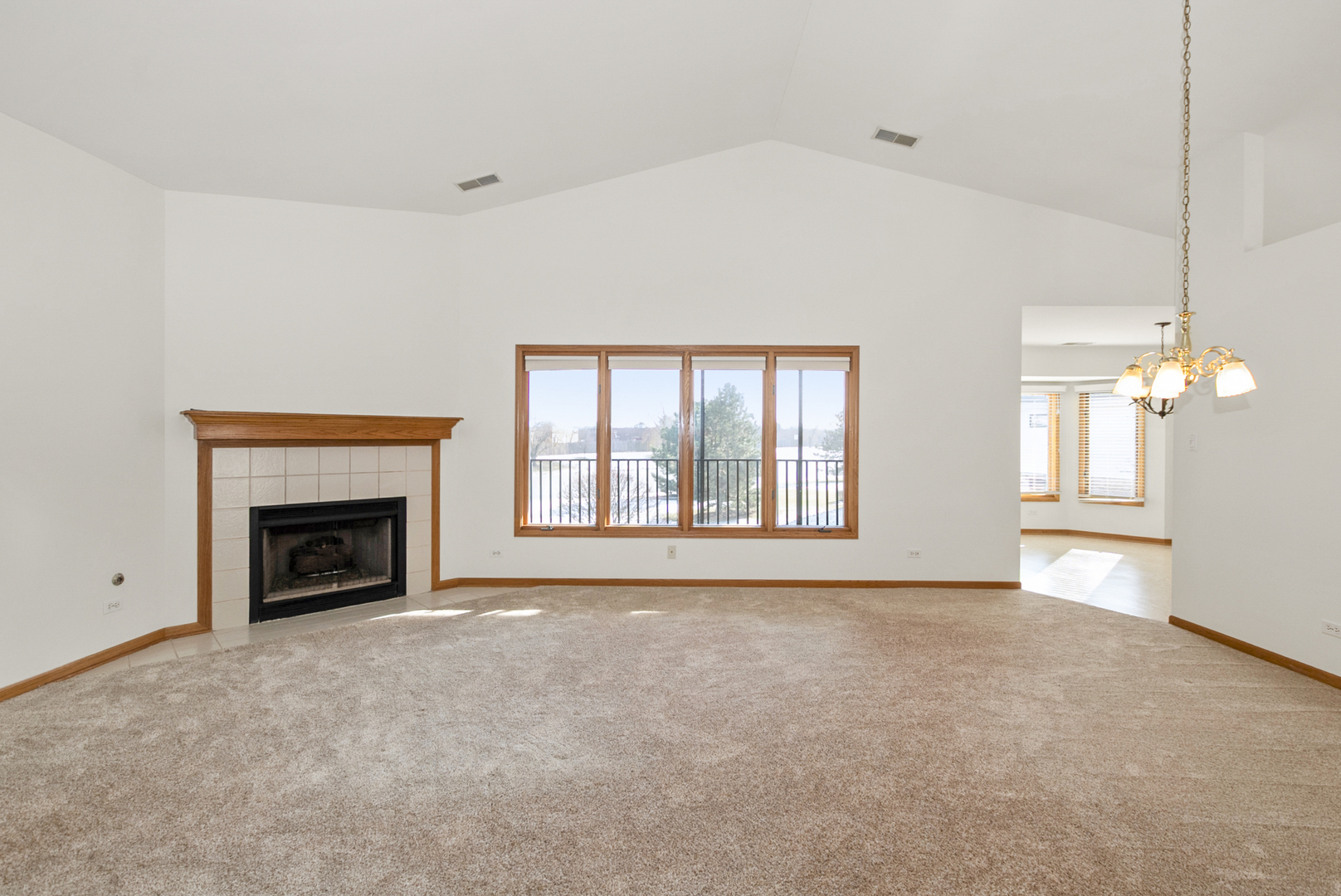 19415 Manchester Drive #0, Mokena, IL 60448