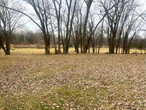 3669 E 25th Road, Sheridan, IL 60551