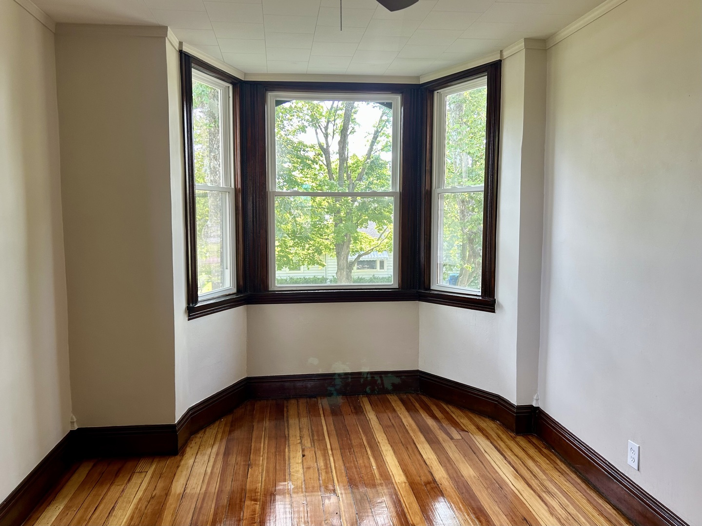 109 S Bureau Avenue, Ladd, IL 61329