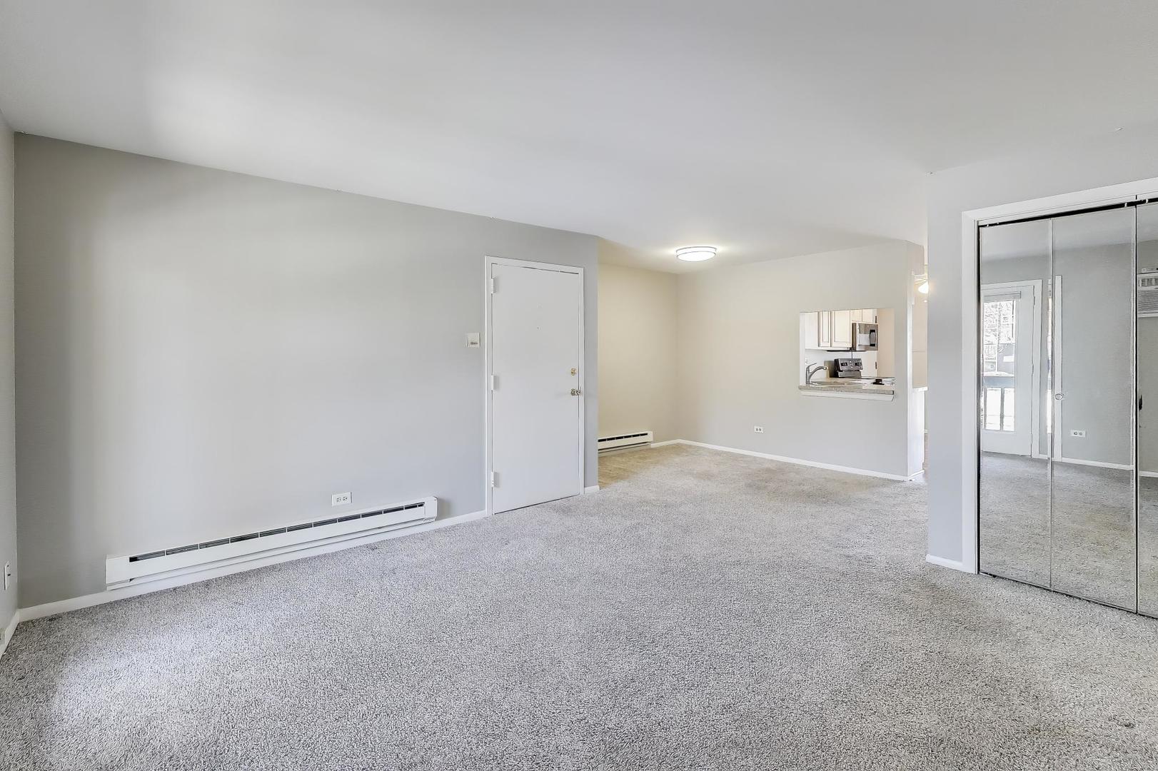 682 DAISY Lane #213, Roselle, IL 60172