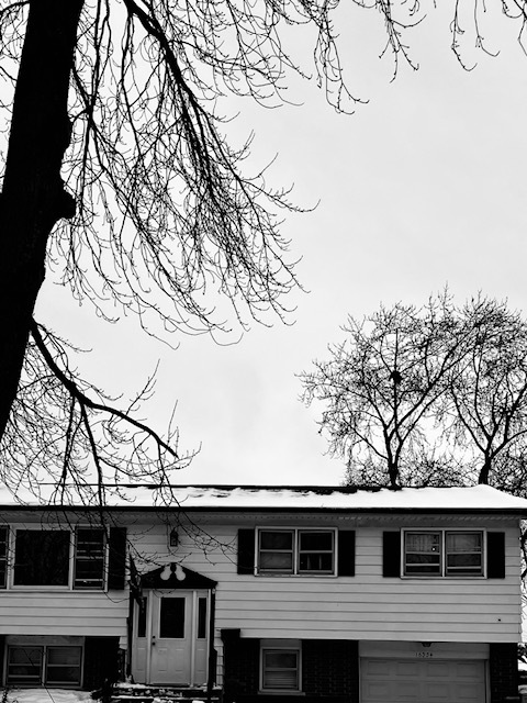 16334 Ridgeland Avenue, Tinley Park, IL 60477