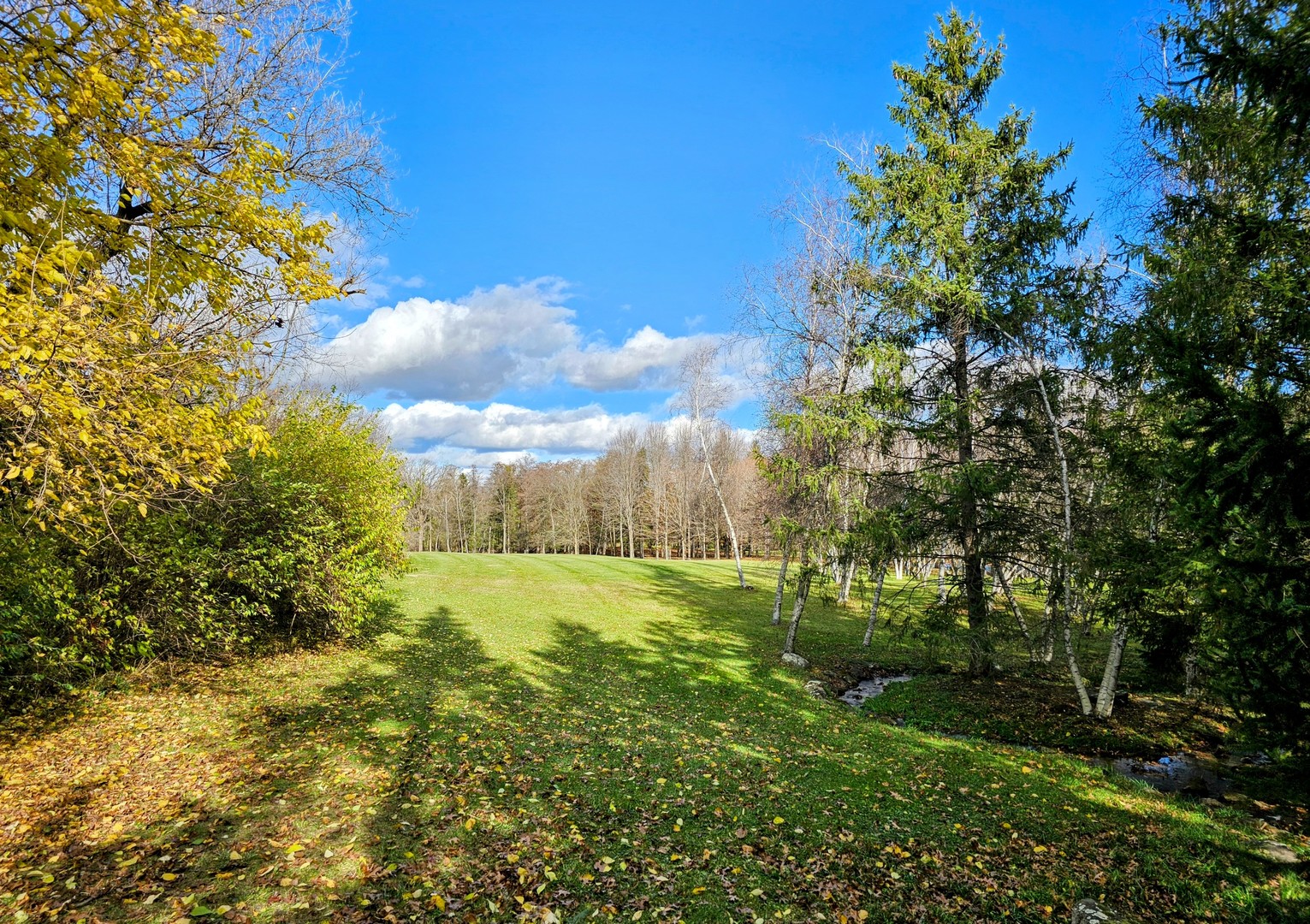 Int. Irish Ln and Lincoln Road, Harvard, IL 60033