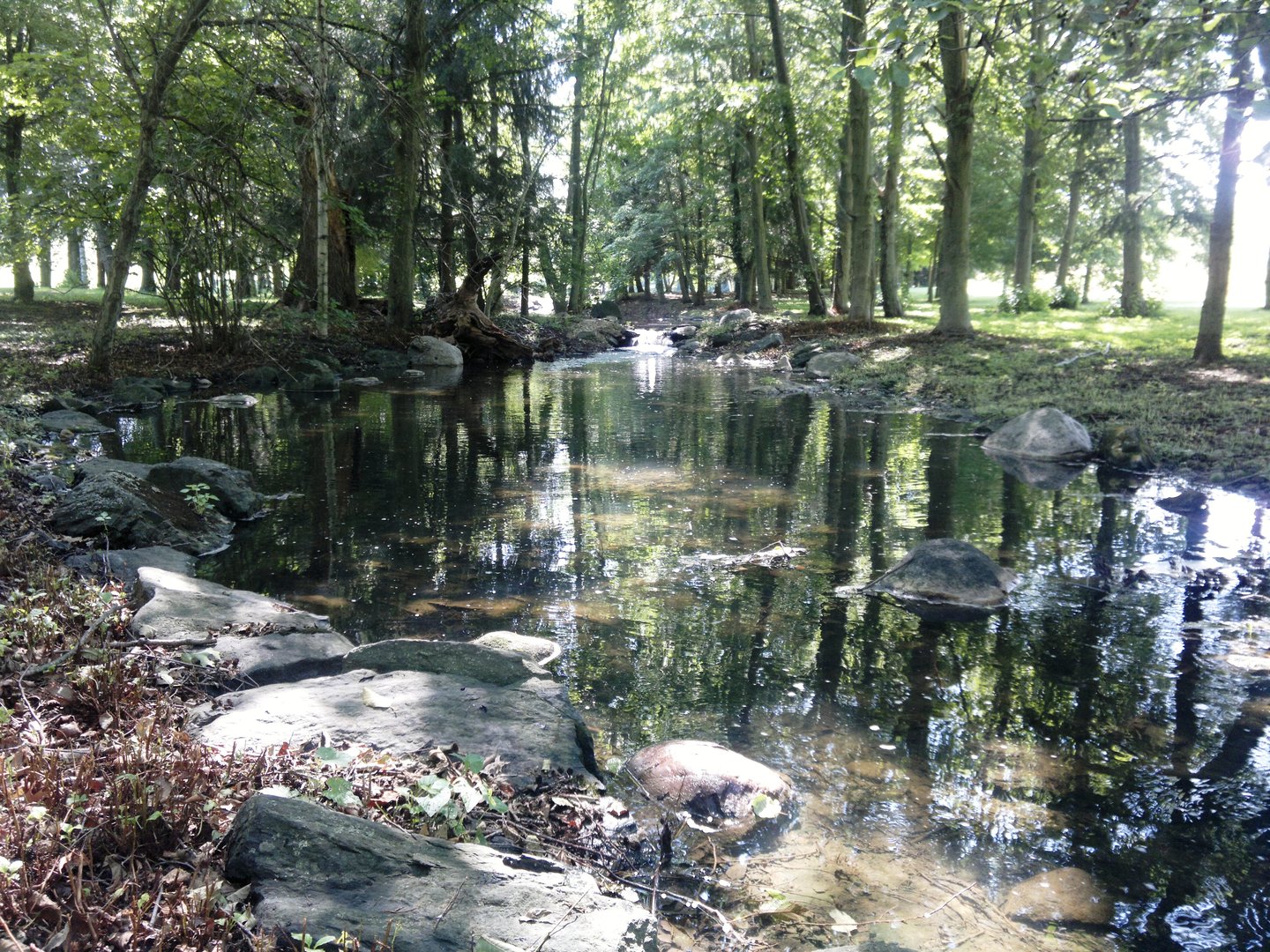 Int. Irish Ln and Lincoln Road, Harvard, IL 60033