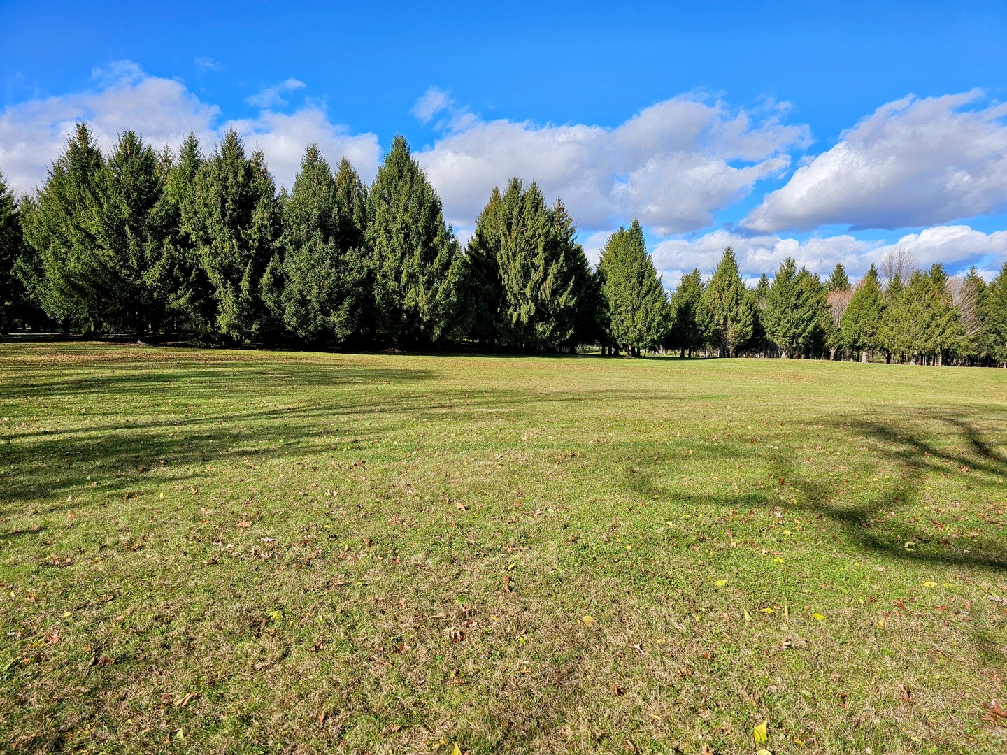 Int. Irish Ln and Lincoln Road, Harvard, IL 60033