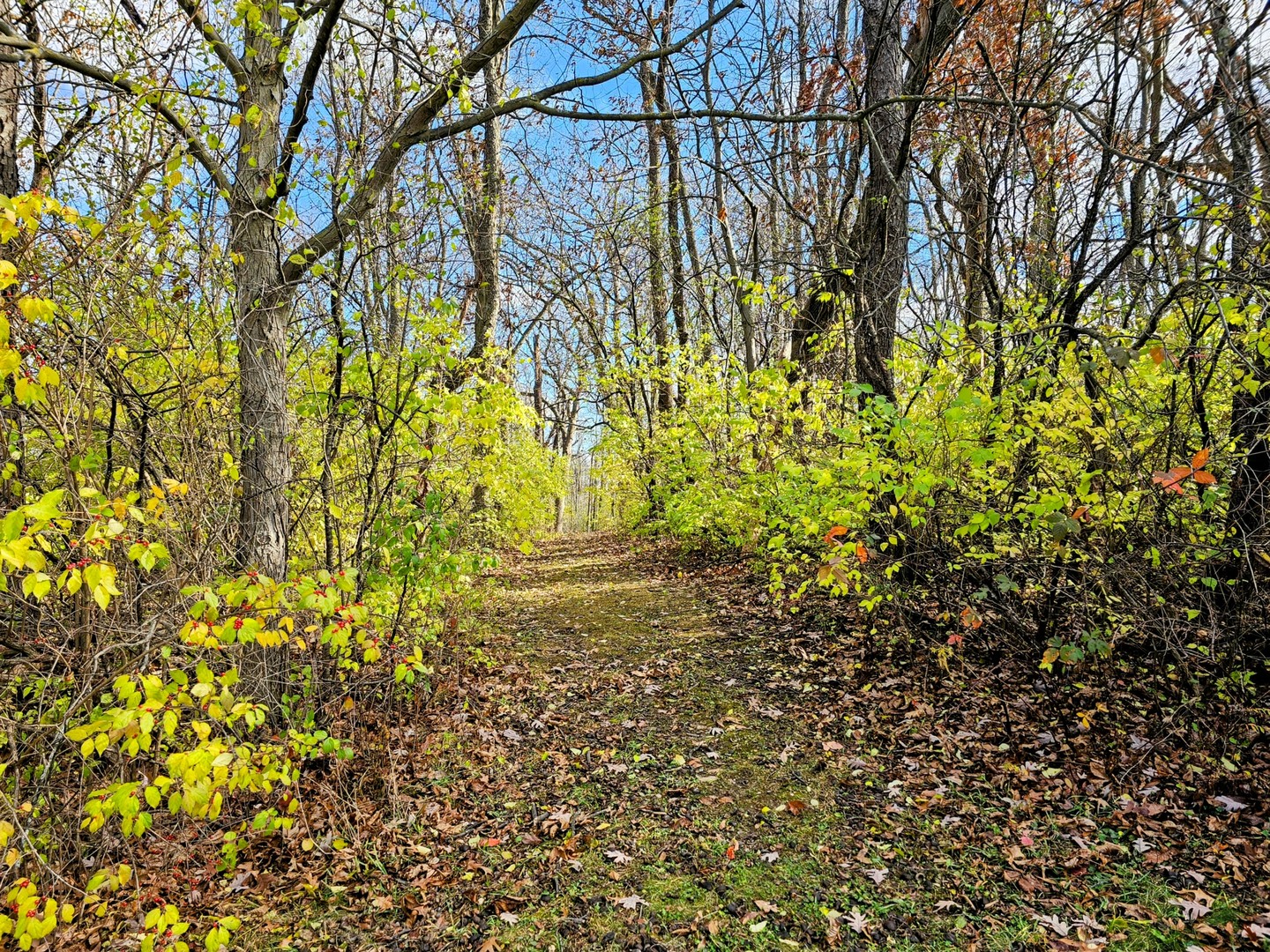 Int. Irish Ln and Lincoln Road, Harvard, IL 60033