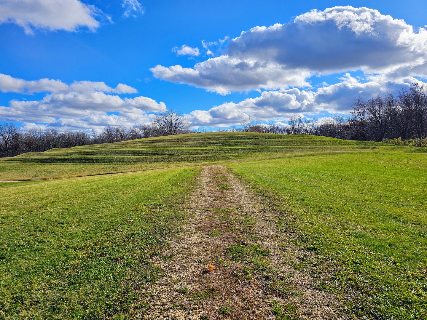 Int. Irish Ln and Lincoln Road, Harvard, IL 60033