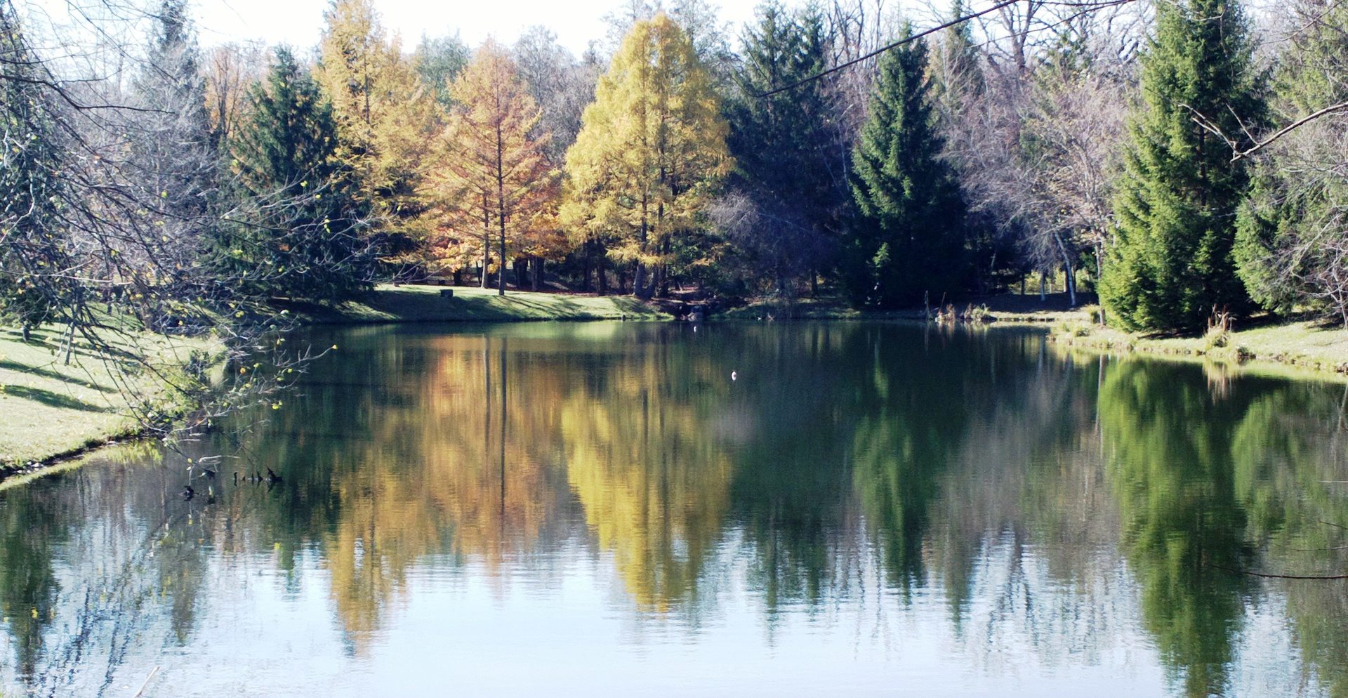 McGuire Road Lincoln Road, Harvard, IL 60033