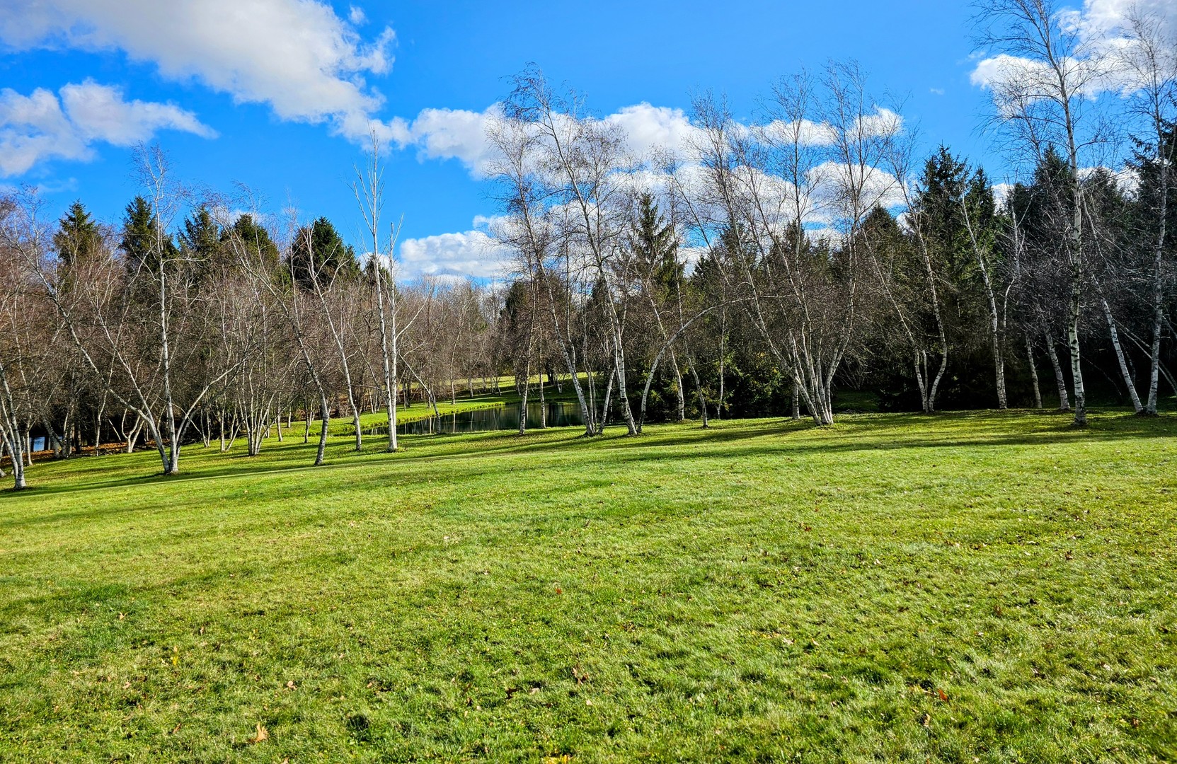 Int. Irish Ln and Lincoln Road, Harvard, IL 60033