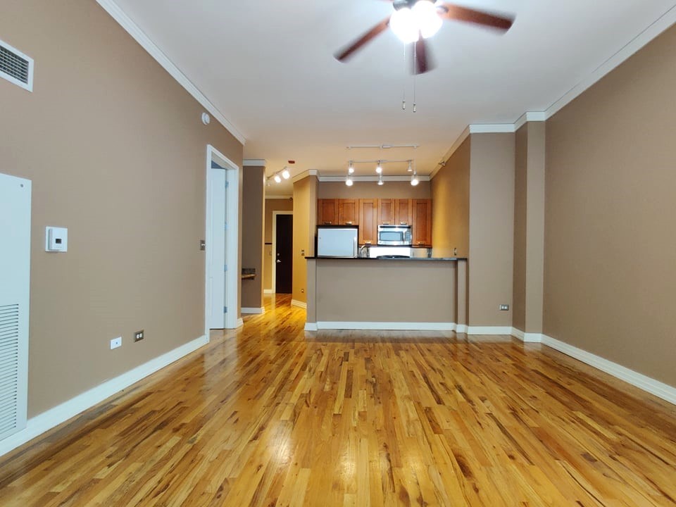 170 W Polk Street #807, Chicago, IL 60605