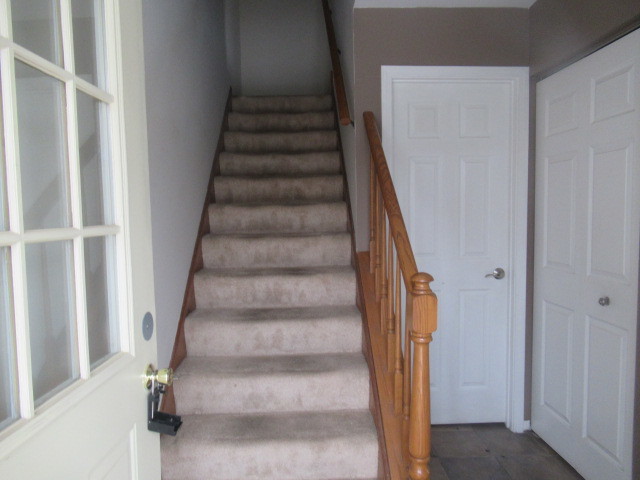 Sleepy Hollow, IL 60118